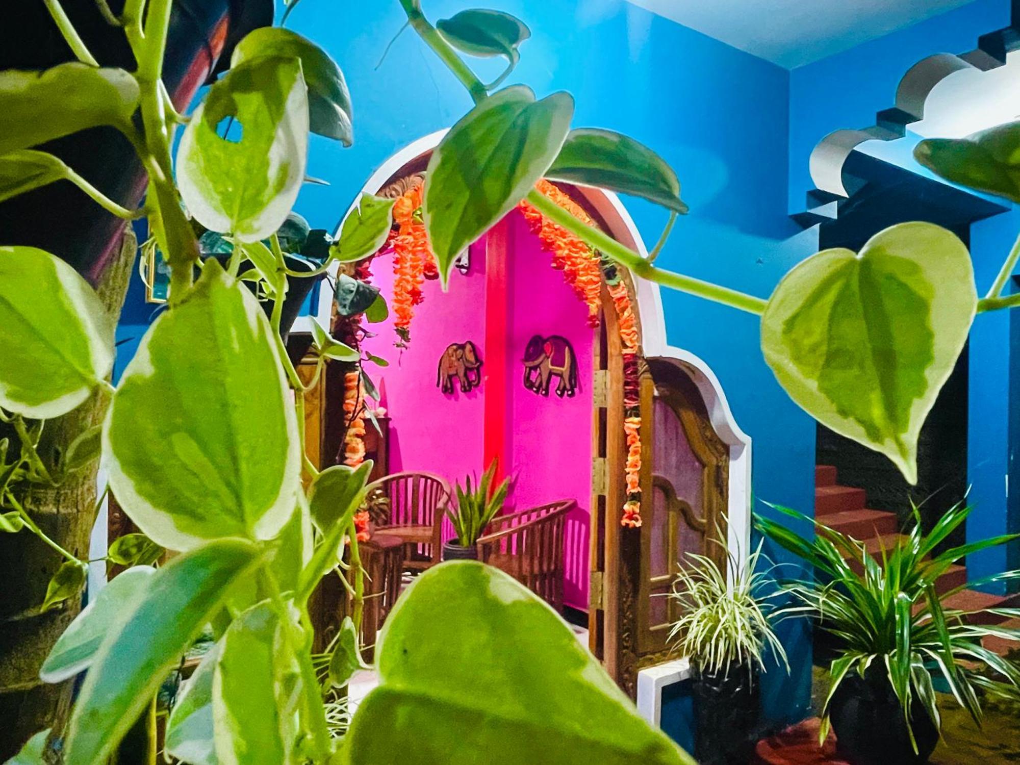 Hema Holiday Villa 亭可马里 外观 照片