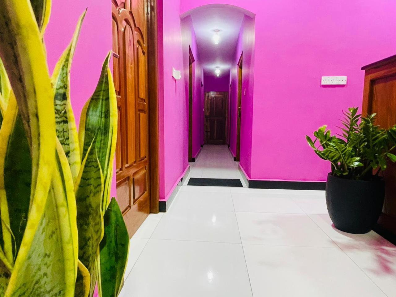 Hema Holiday Villa 亭可马里 外观 照片