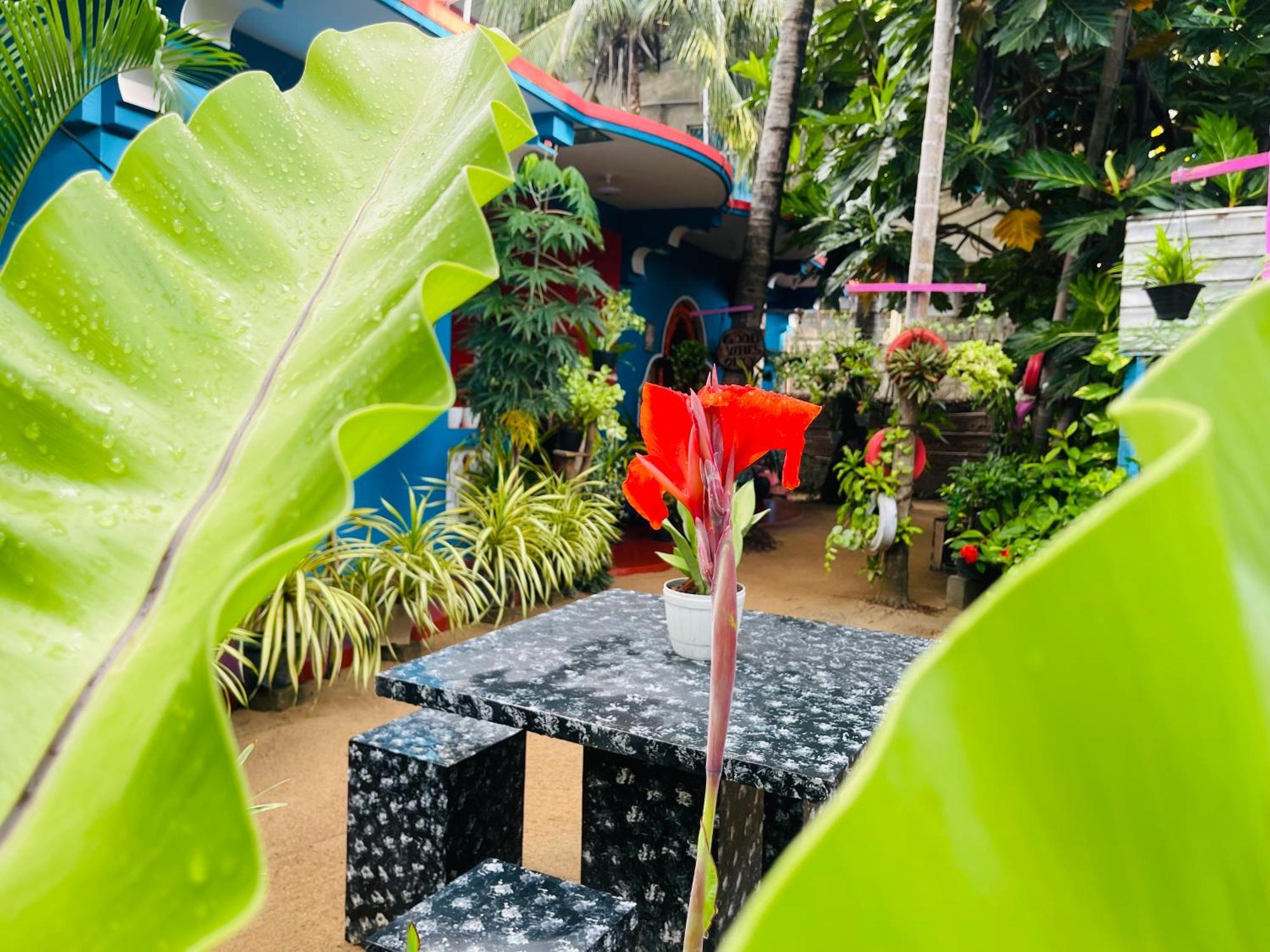 Hema Holiday Villa 亭可马里 外观 照片